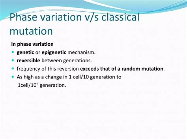 What is phase and antigenic variation?