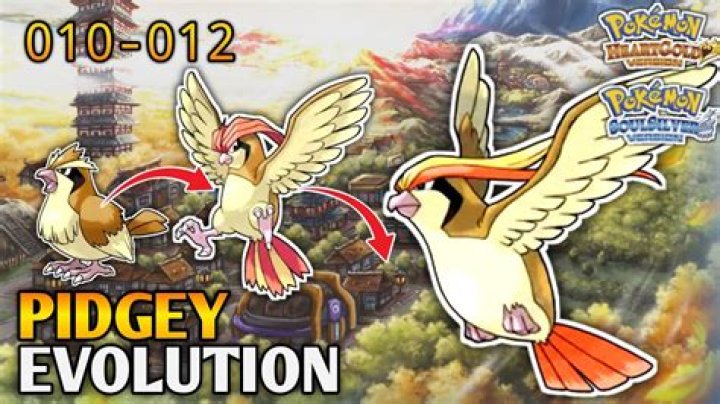 What is Pidgey hidden ability?