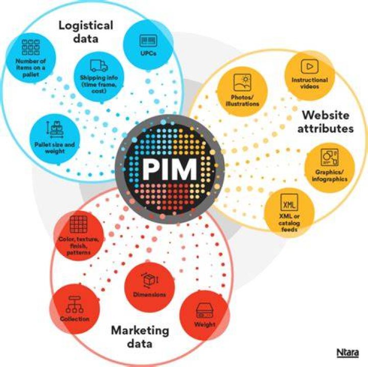 What is PIM Informatica?