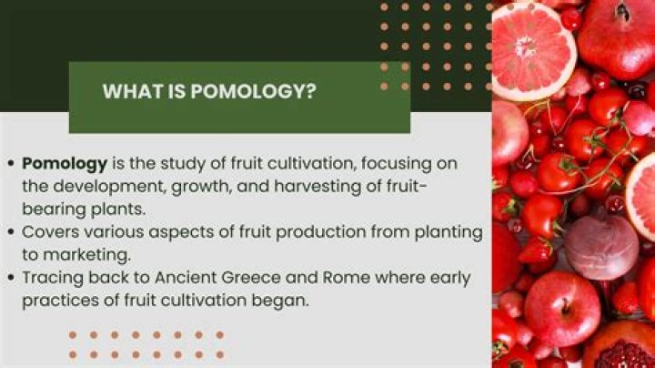 What is pomology give example?