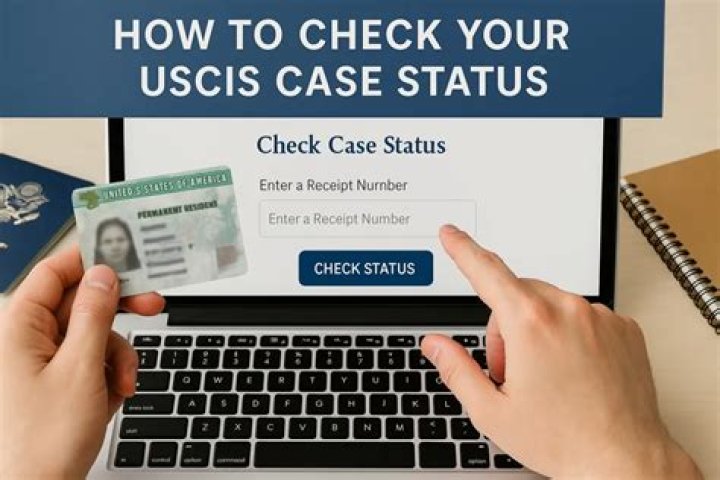 What is Post decision activity in USCIS case status?