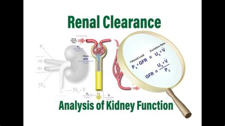 What is renal clearance in Biopharmaceutics?