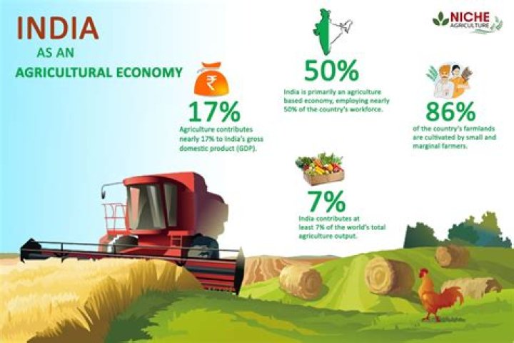 What is role of agriculture marketing in Indian economy?