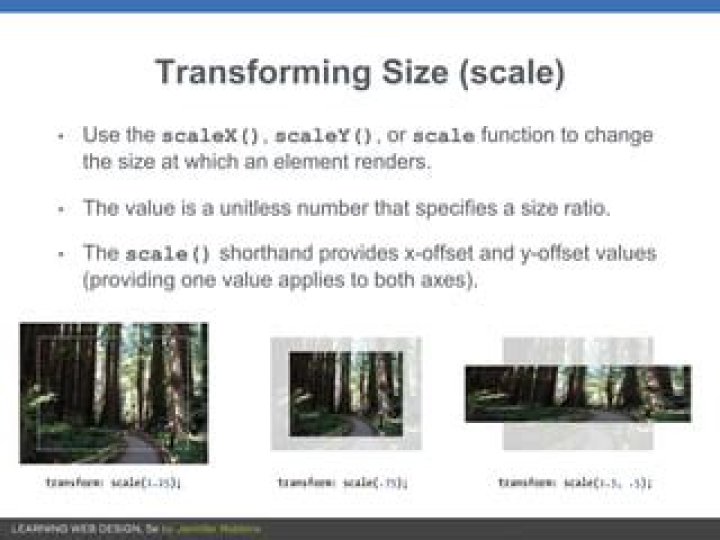 What is ScaleX and ScaleY?