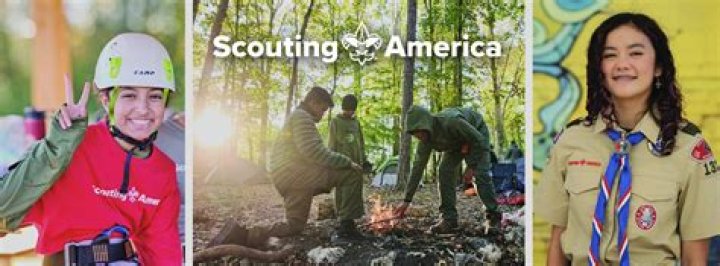 What is Scout and guide movement?