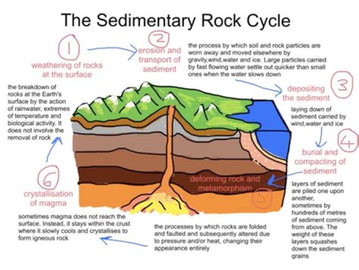 What is sedimentary rock explained for kids?