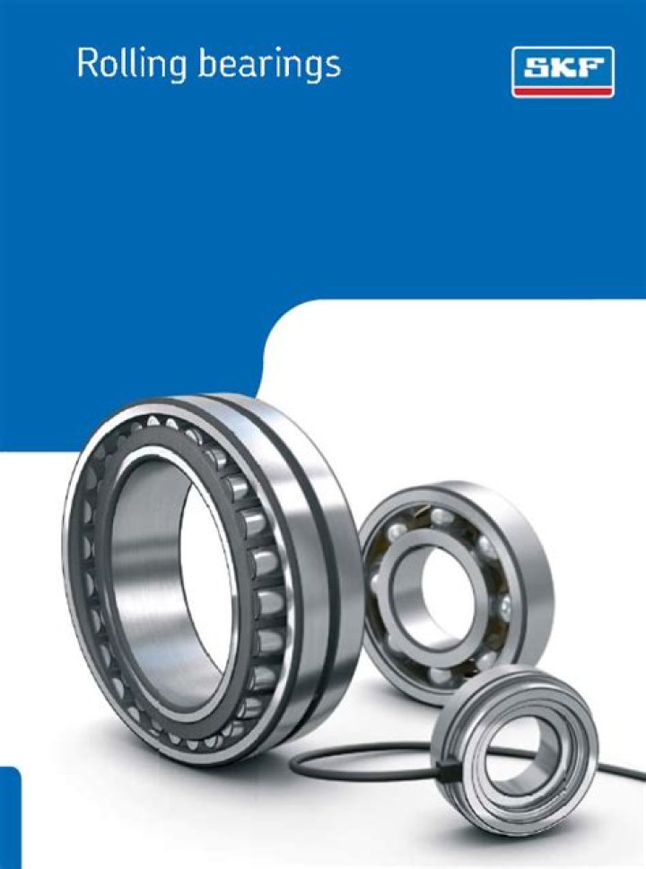 What is SKF catalog?