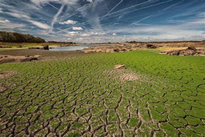 What is soil degradation?