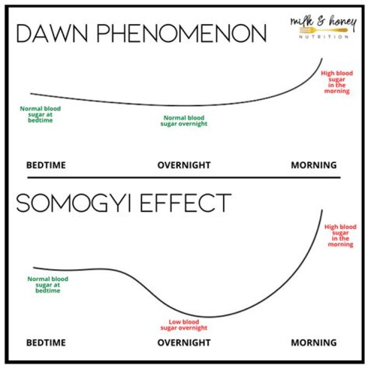 What is Somogyi effect?