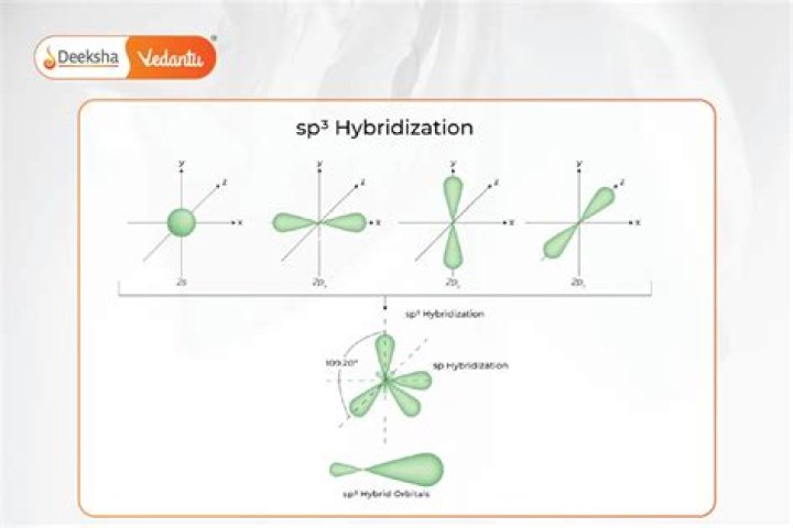 What is sp3d3 hybridization explain with an example?