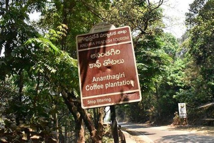What is special in Ananthagiri Hills?