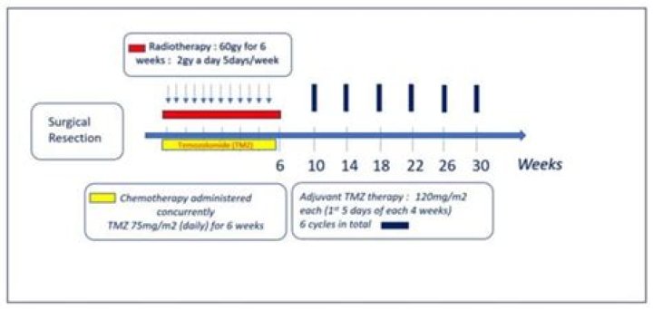 What is Stupp regimen?