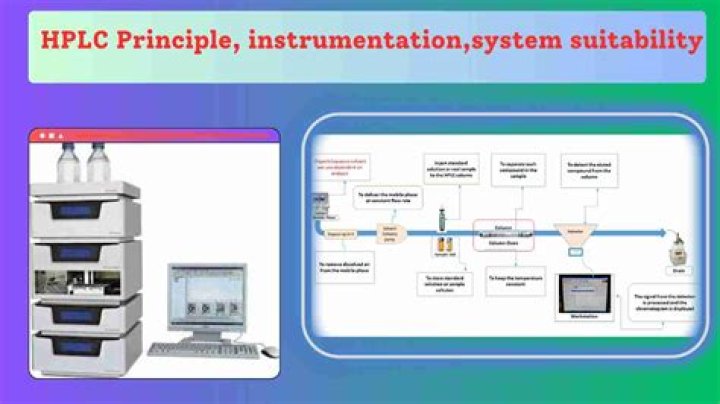 What is system suitability for HPLC?