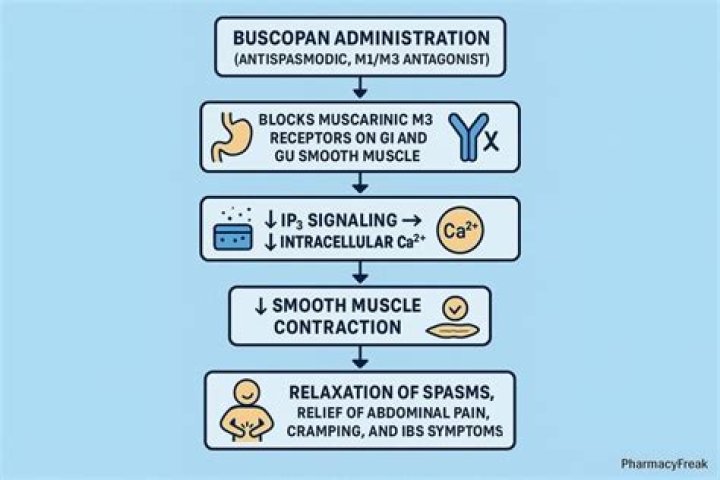 What is the action of buscopan?
