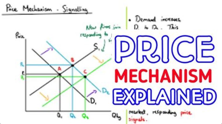 What is the advantage of price mechanism?