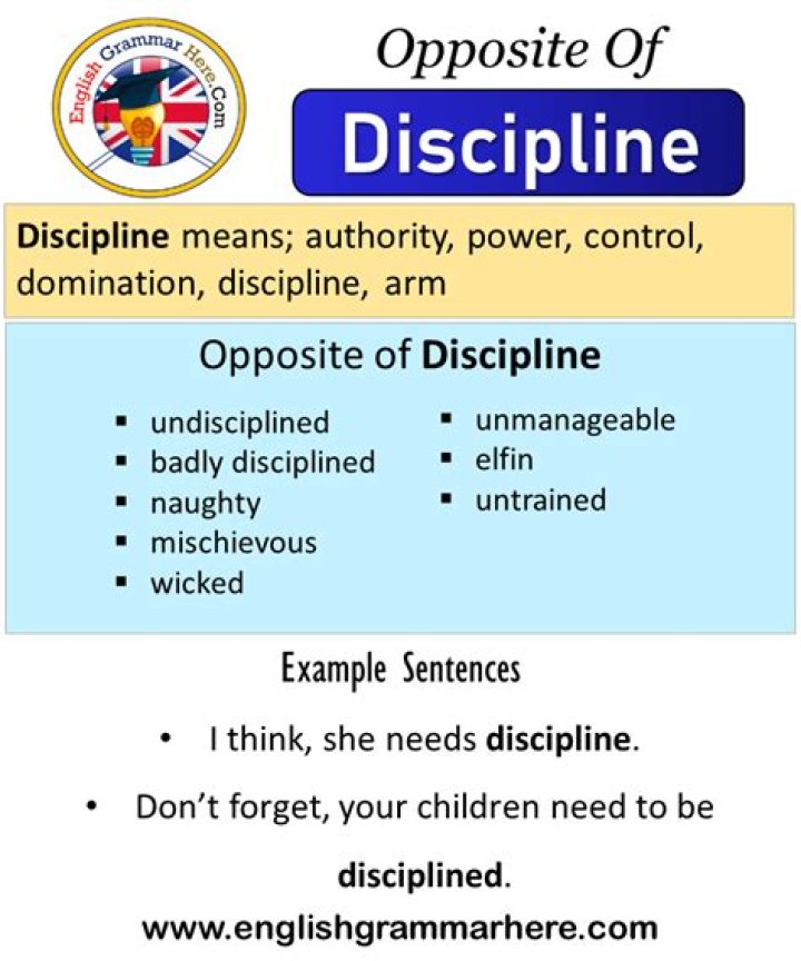 What is the another word for discipline?