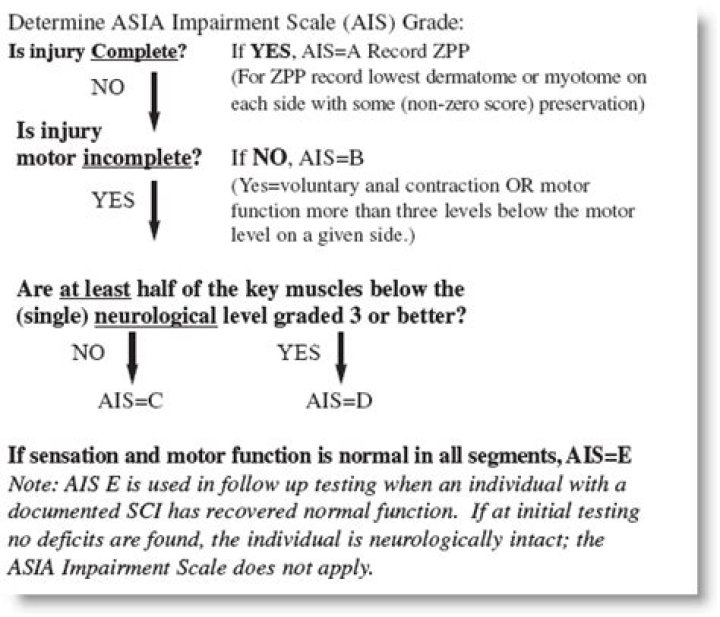 What is the ASIA scale used for?