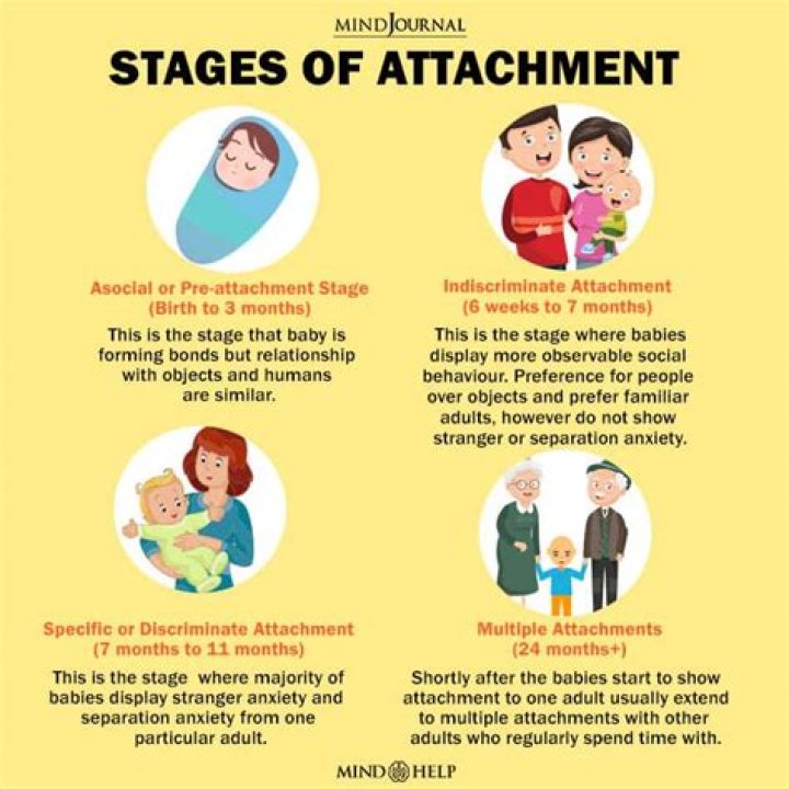 What is the Behavioural theory of attachment?