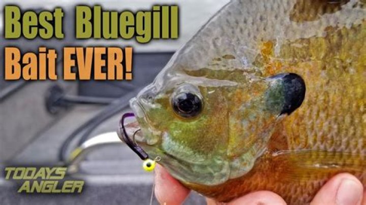 What is the best artificial bait for bluegills?