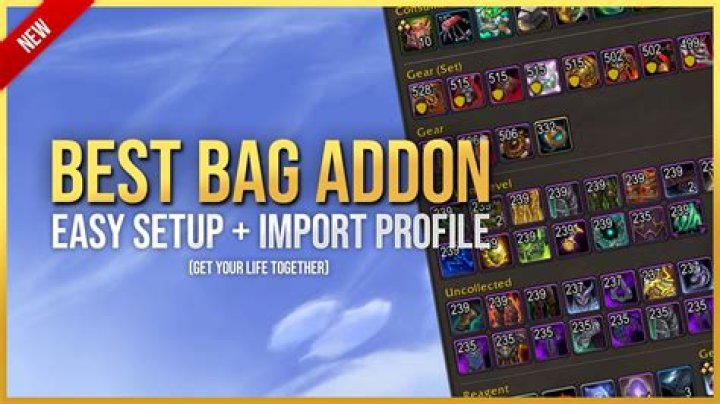 What is the best bag addon for WoW?