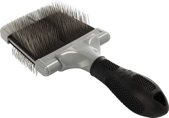 What is the best DeShedding brush for a Chihuahua?