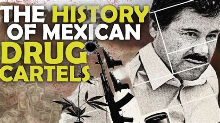 What is the best drug cartel movie?