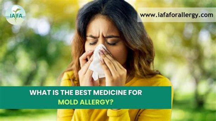 What is the best medication for mold allergy?