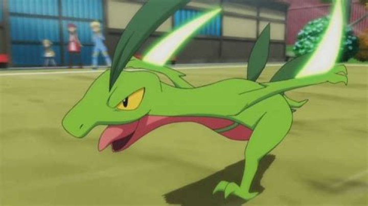 What is the best nature for Grovyle?