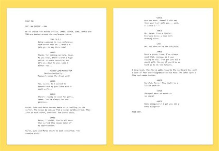 What is the best program to write scripts?