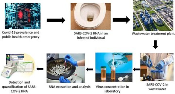 What is the best way to describe epidemiological surveillance?