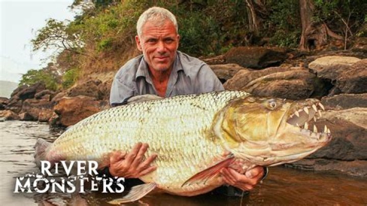 What is the biggest fish ever caught on River Monsters?