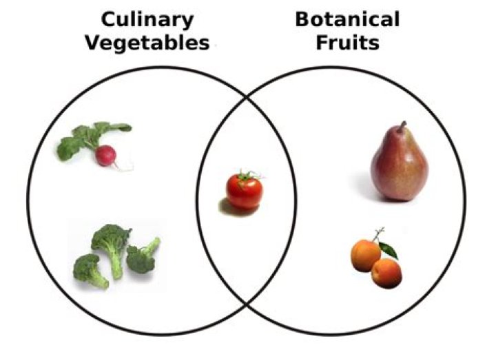 What is the botanical difference between a fruit and a vegetable?