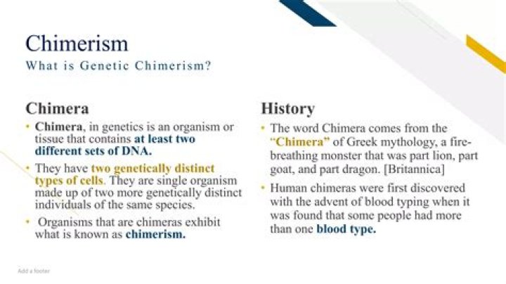 What is the chimeric DNA?