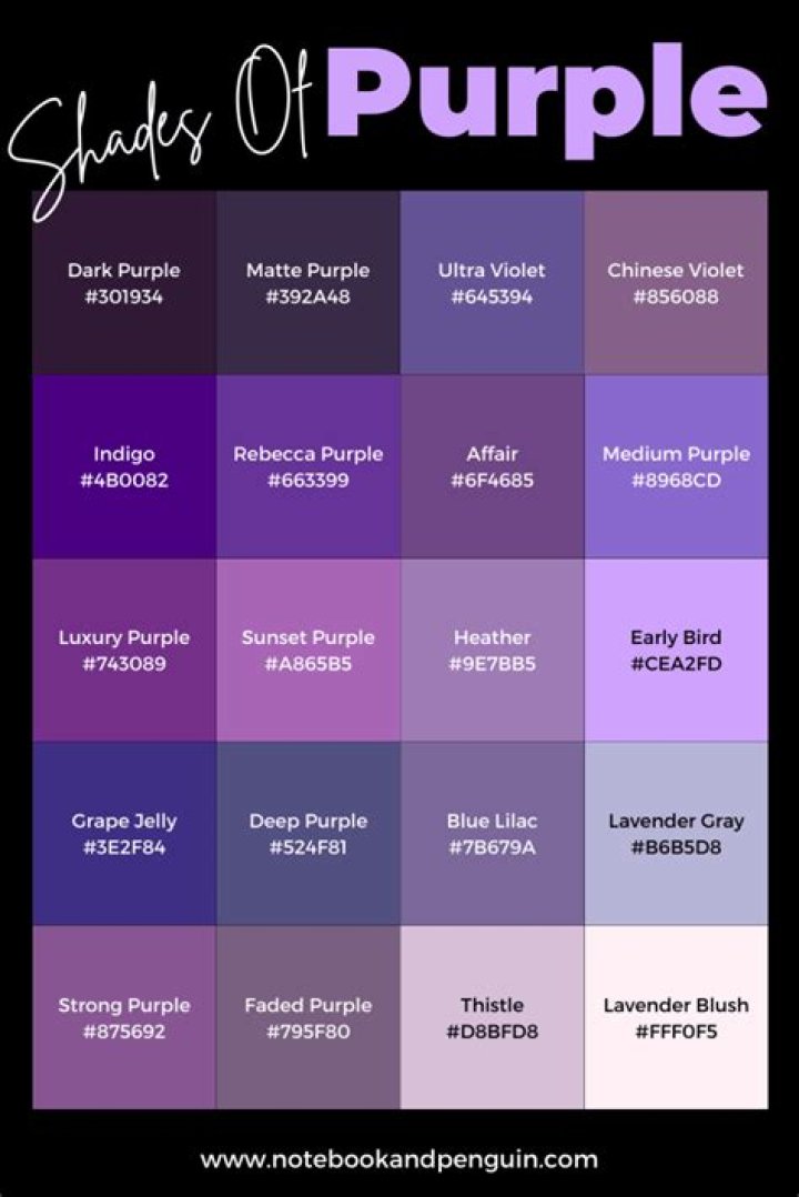 What is the color code for purple in CSS?