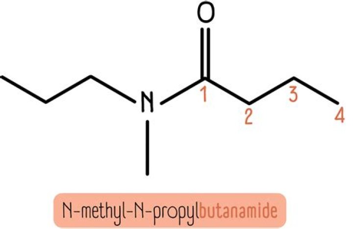 What is the common name of Butanamide?