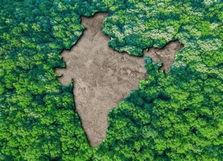 What is the concept of environment in ancient India?