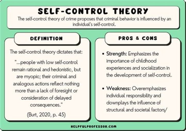 What is the concept of general theory of crime?