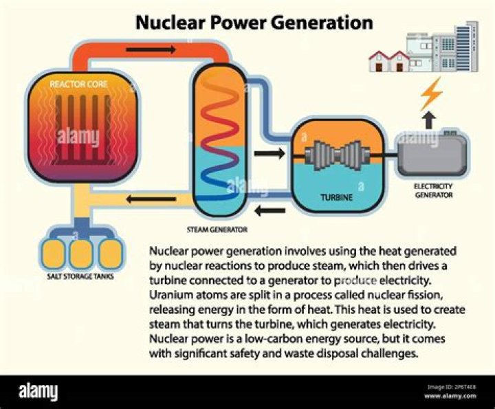 What is the control system at a nuclear power plant?