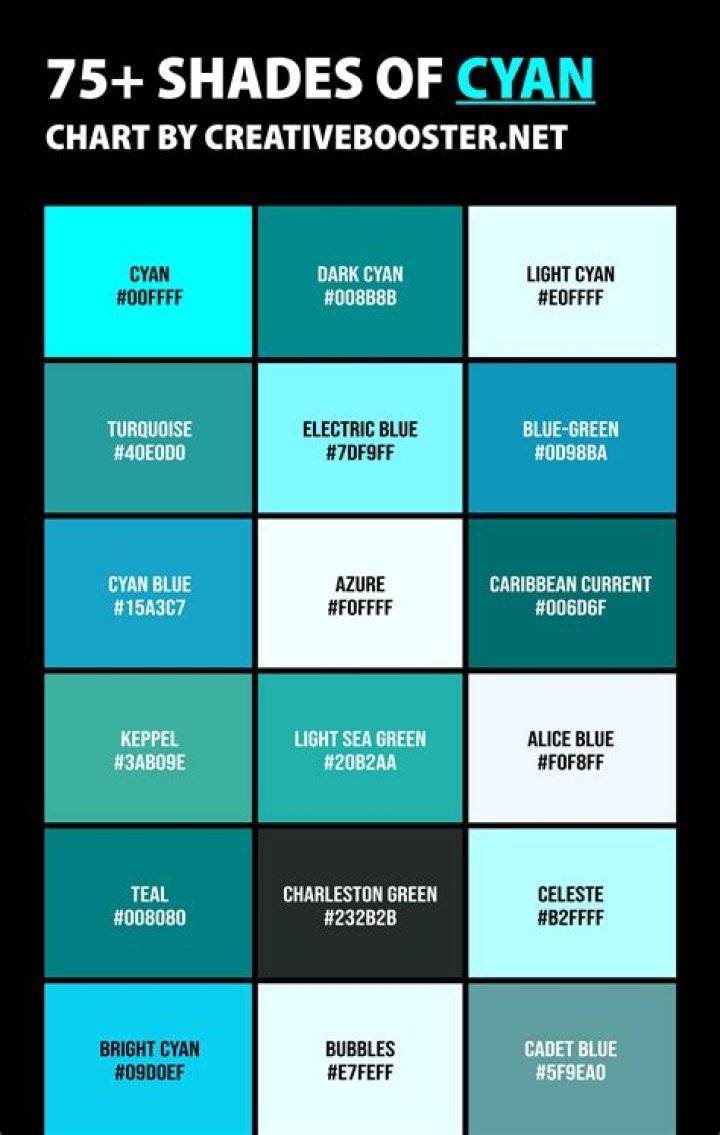 What is the cyan cartridge?