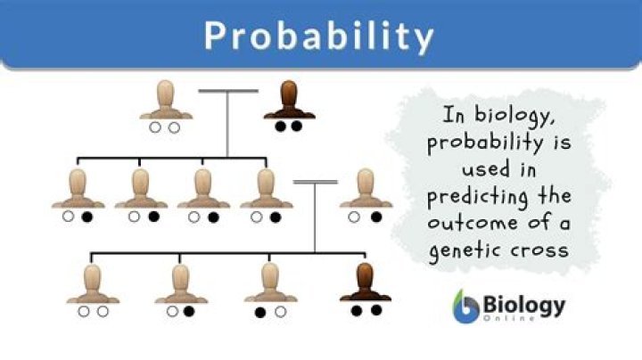 What is the definition for probability in biology?