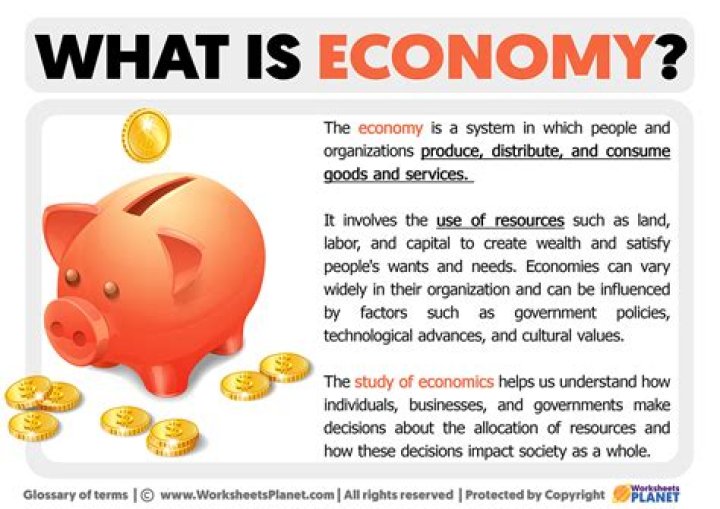 What is the definition money economy?