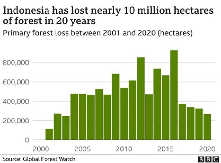 What is the deforestation rate in Indonesia?