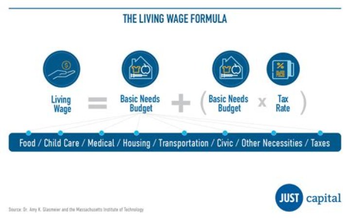 What is the difference between a subsistence wage and a living wage?