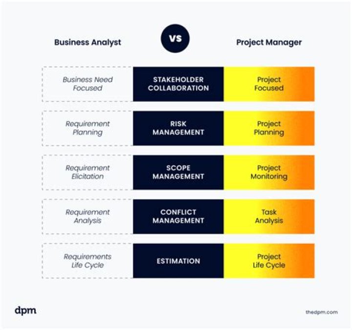 What is the difference between business project manager and IT project manager?