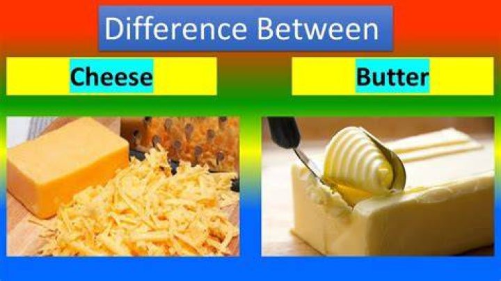 What is the difference between cheese and whey?