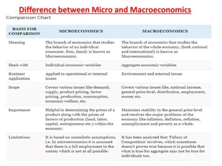 What is the difference between macro and micro researches?