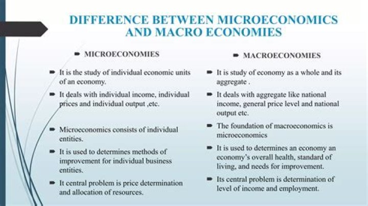 What is the difference between micro and macro economic policies?