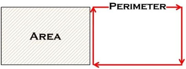 What is the difference between perimeter and area?