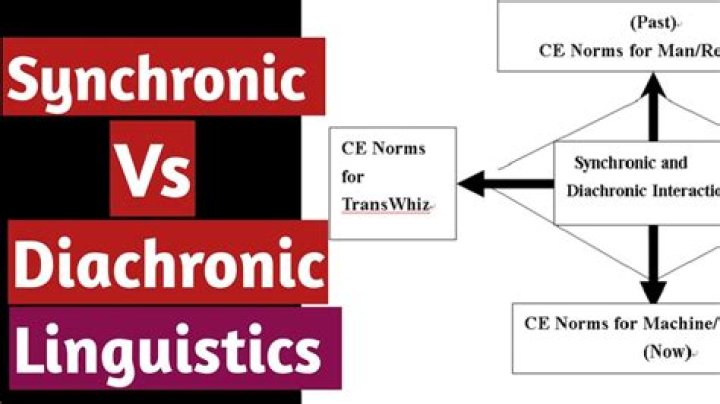 What is the difference between synchronic and diachronic?
