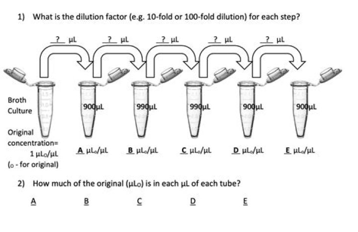What is the dilution factor of a 10 fold dilution?